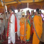 Vraj-Yatra-2014- (2397)